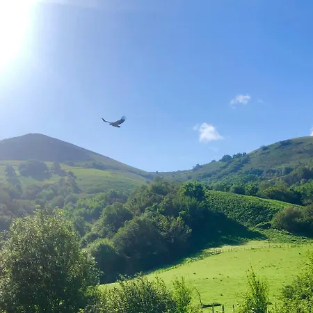 Un écrin dans la nature Espelette Extérieur photo