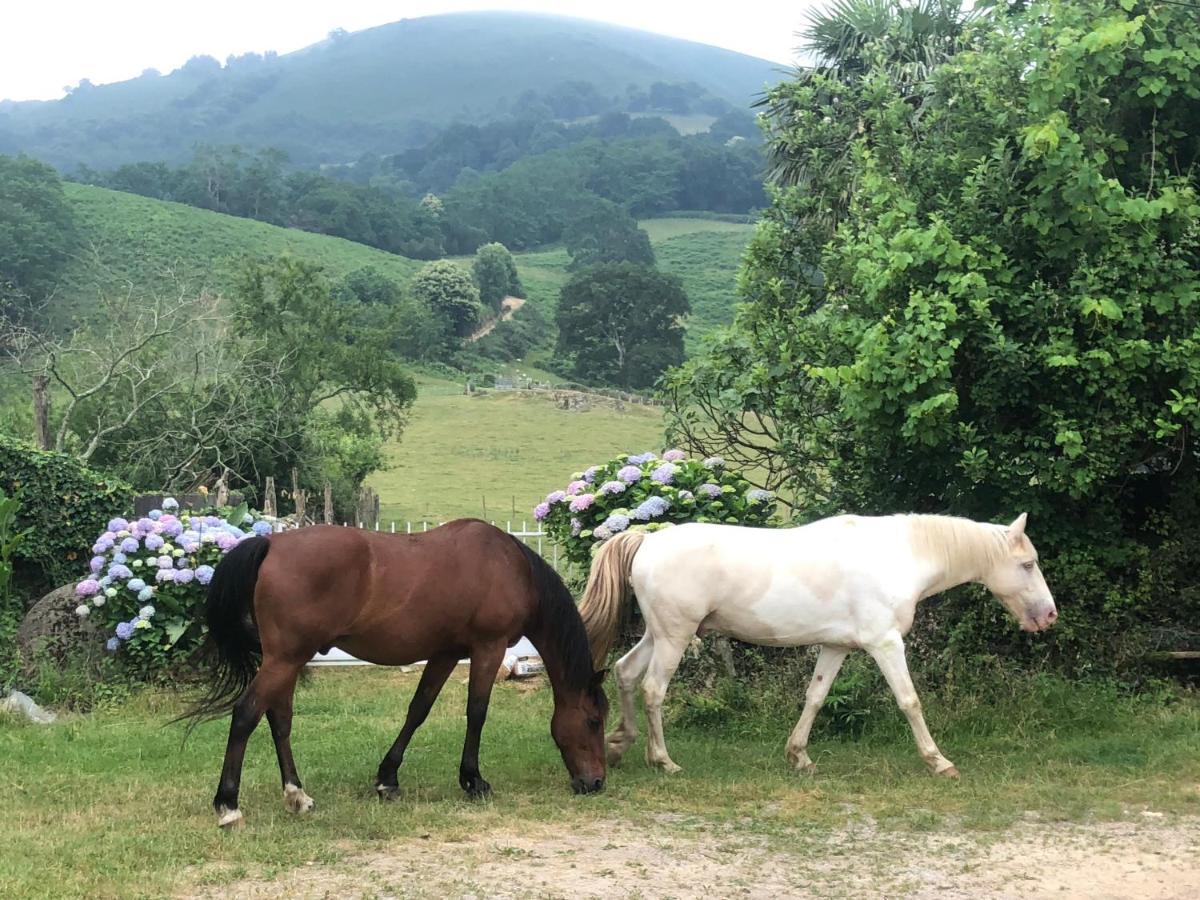 Un écrin Dans La Nature Hébergement de vacances *